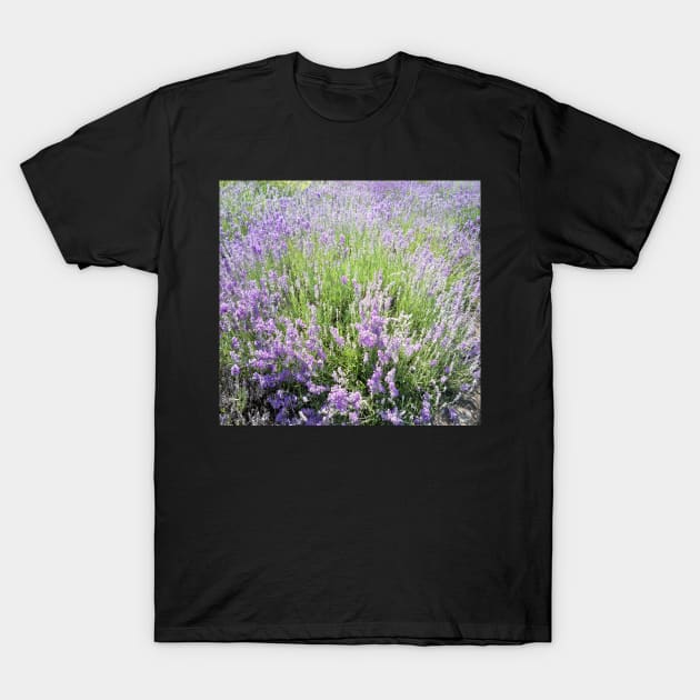 Lavender T-Shirt by Jujucreation